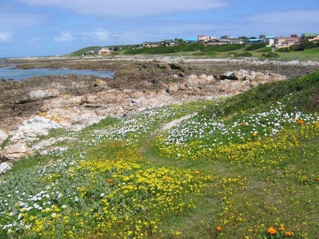 Aire Del Mar Guest House Kleinbaai Екстериор снимка